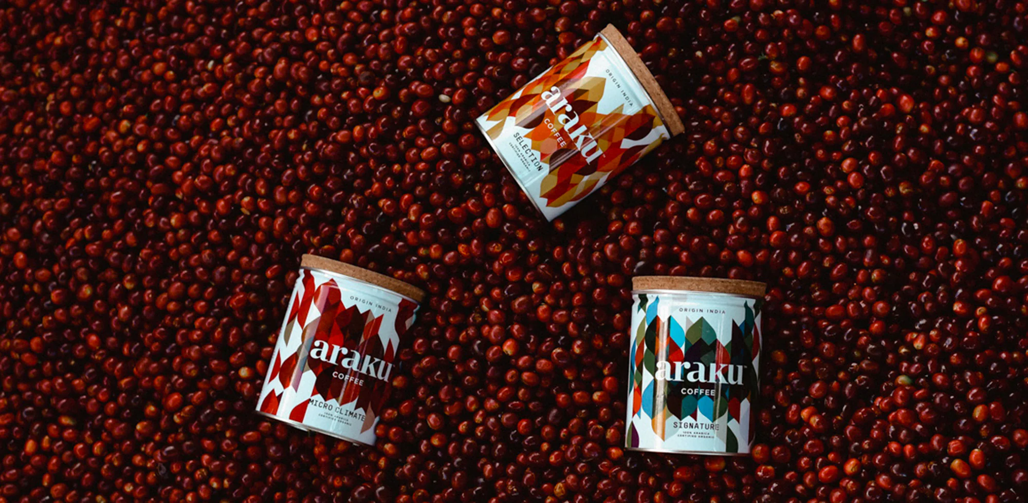 L'excellence du café bio indien